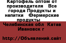 Картофель оптом от производителя - Все города Продукты и напитки » Фермерские продукты   . Челябинская обл.,Катав-Ивановск г.